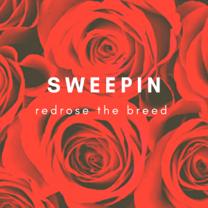 Sweepin by Redrose the Breed