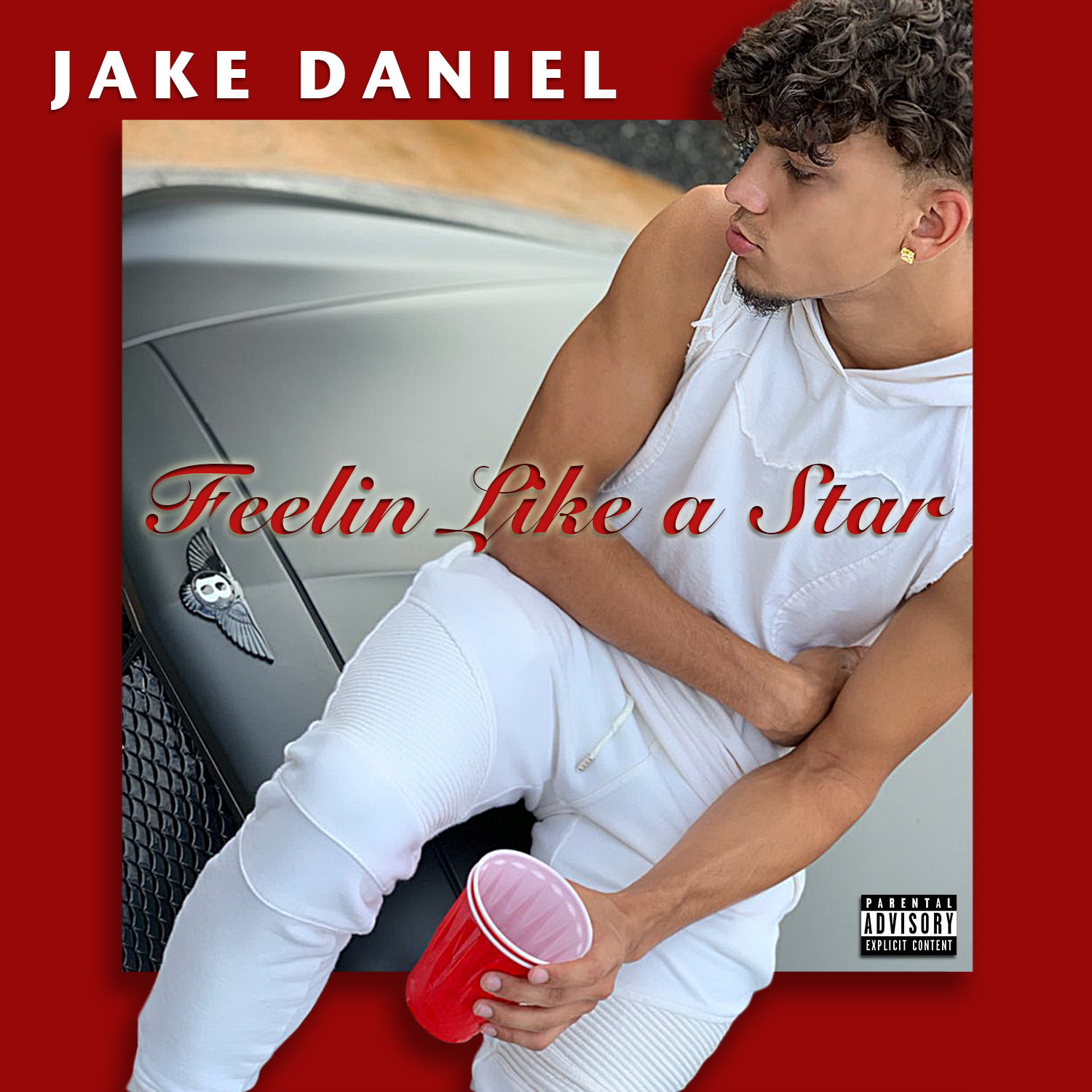 Feelin Like A Star by Jake Daniel.